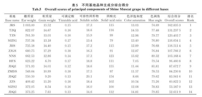 澳门·新葡萄新京6663「中国」官方网站阳光玫瑰跌至99一斤曾经的贵族葡萄还能吃(图12)