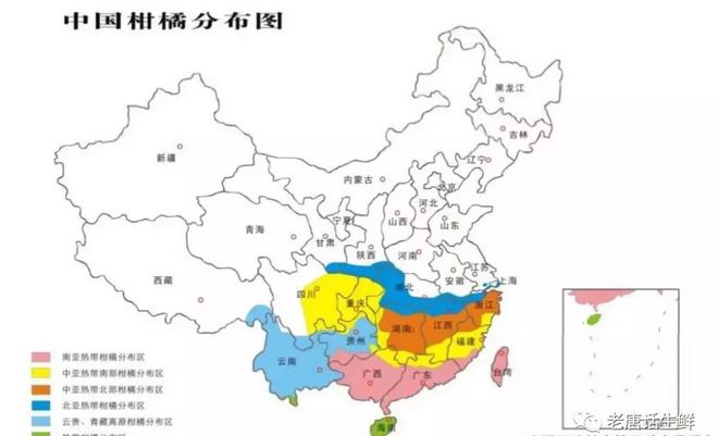 澳门新葡萄新京6663【柑橘五张图】水果采购必须掌握的产地分布、品种区分、各品种(图3)