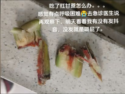 澳门新葡萄新京6663@阳江人冬季吃甘蔗这几种模样的千万别碰谨防中毒！(图2)