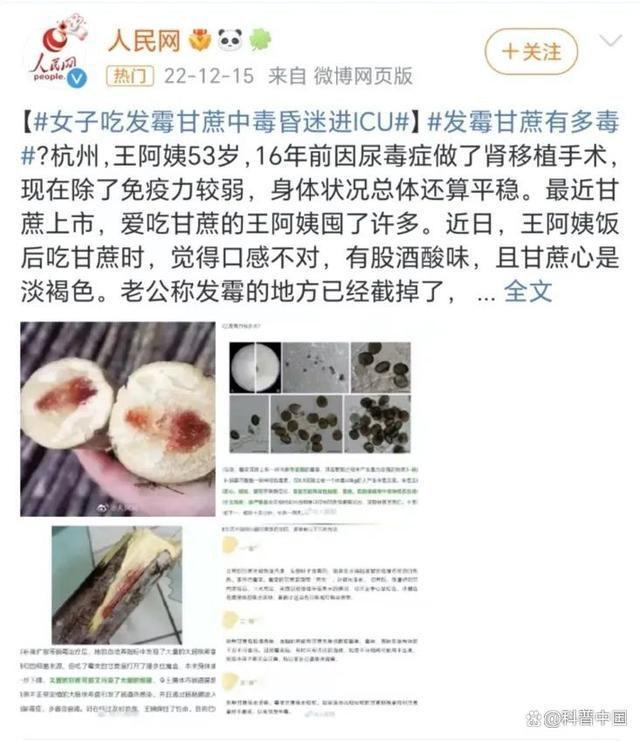 澳门·新葡萄新京6663「中国」官方网站甘蔗挑选有妙招但这种千万别吃！(图1)