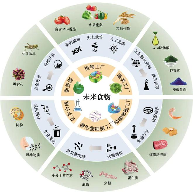 澳门新葡萄新京6663【未来食品】未来食品什么样你知道吗？(图2)