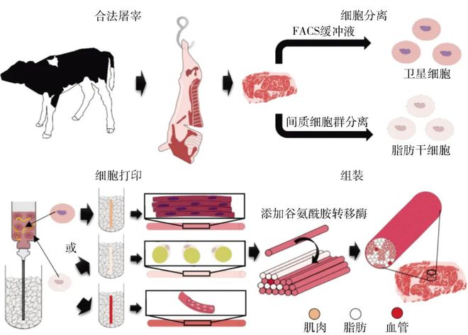 澳门新葡萄新京6663【未来食品】未来食品什么样你知道吗？(图6)