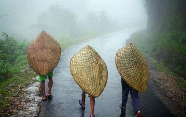 澳门新葡萄新京6663全球湿气最重的岛屿雨水几乎没停过潮湿到连家里都能长蘑菇！(图3)