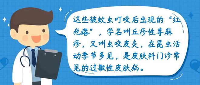 澳门新葡萄新京6663关于“花蚊子”你了解它吗？蚊叮虫咬后的“红疙瘩”这样处理好(图11)